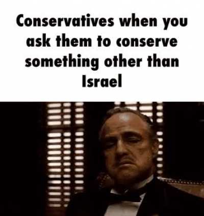 Modern day "conservatives"