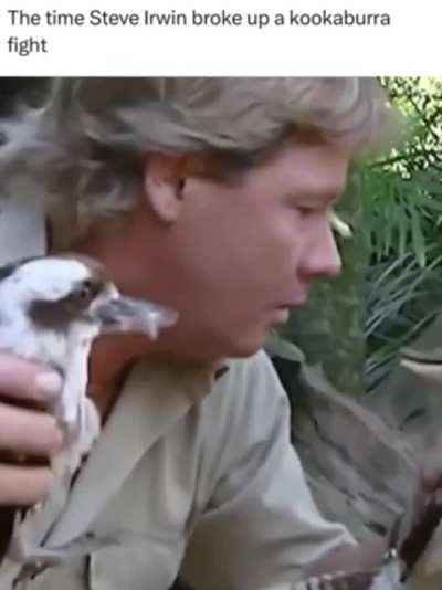 Okay I know this is lame but here&rsquo;s a 50 second video of Steve Irwin I edited because it reminded me of that Halo 2 Gravemind scene