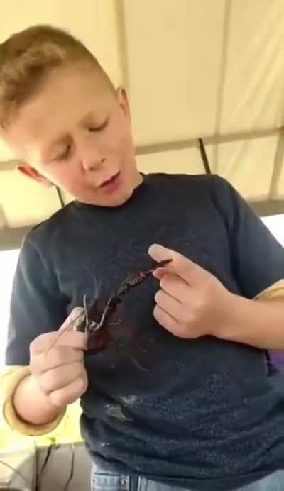 Kid learns about crayfish