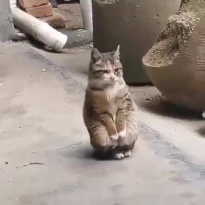 What? I don't have a tummy.