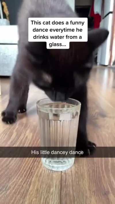 Kitty does a happy dance when he gets his H2O