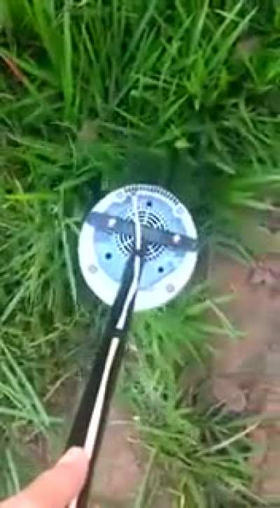 Sobra grama mas falta grana? Eis a&iacute; a solu&ccedil;&atilde;o!
