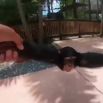 Uma experi&ecirc;ncia &uacute;nica aproveite