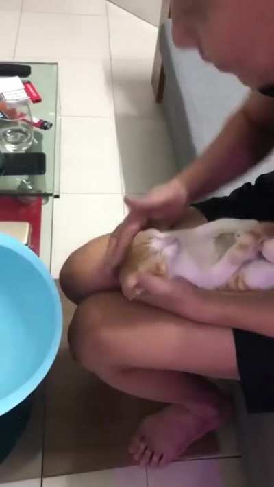 Grandpa teaches how to bathe a baby. Guess who's his voluntary assistant.
