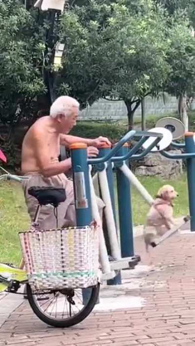 Old man enjoys recreation with his dogs