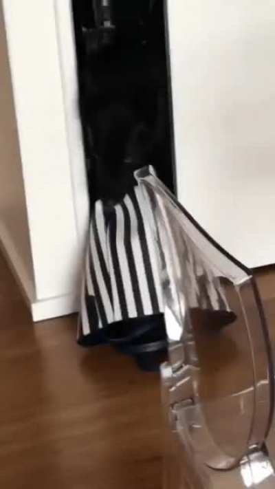 I&rsquo;d been gone for a week, was curious when he didn&rsquo;t sprint to the door...