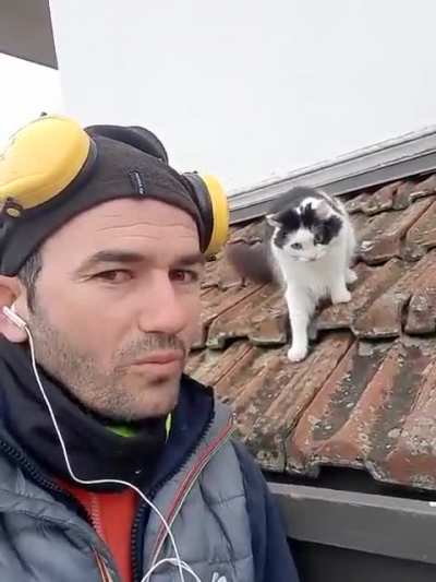 Man doing a cat impression in front of an actual cat.