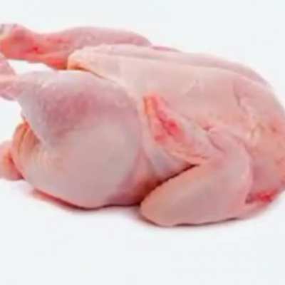 Chicken😳