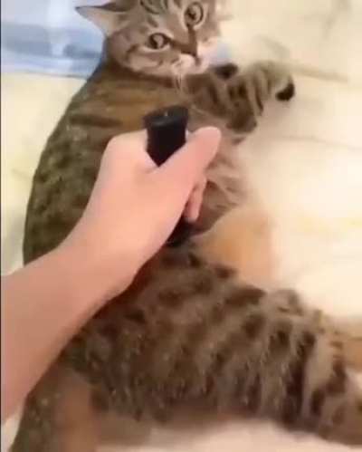 Ты чё это?