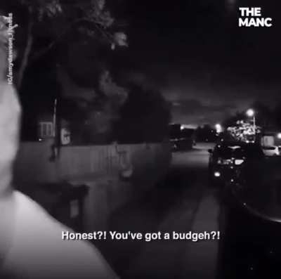 &ldquo;No I got a budgeh&rdquo;