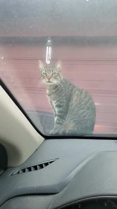 Sup
