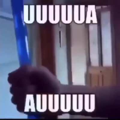 Xd