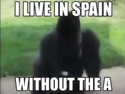 I live in Sp&ordf;in 😎🤙