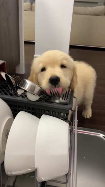 Am I a good helper?
