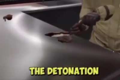 Potato