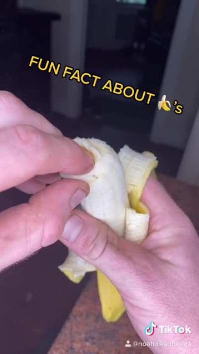 I just learned banana&rsquo;s have 3 sections