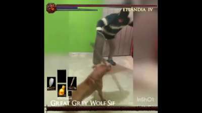 Avisa l&aacute; o Artorias que o mano deixou o port&atilde;o aberto