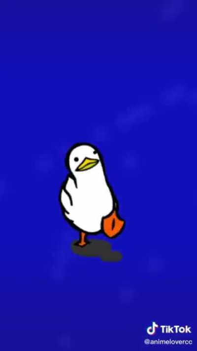 Quack quack quack