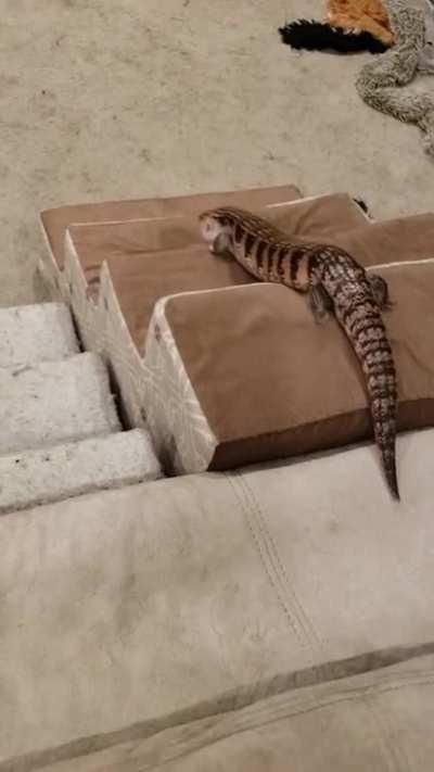 He do a slide