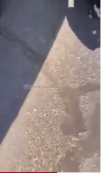 Jordan B (girl on the ground/ JayDaYoungan&rsquo;s bm) fight