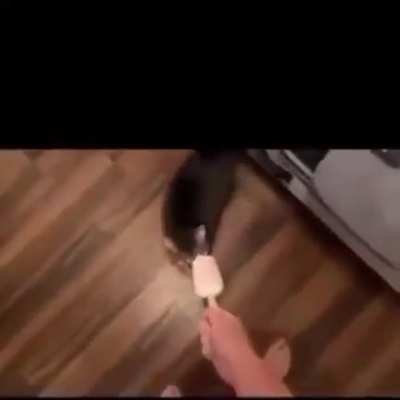 oh no :'(