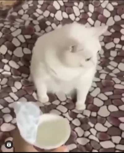 🤢💀😸