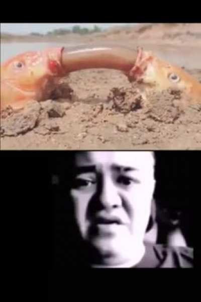 este hombre vio lo peor en internet