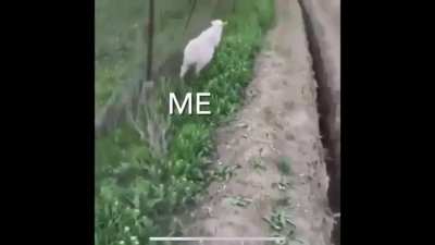 It never feels good