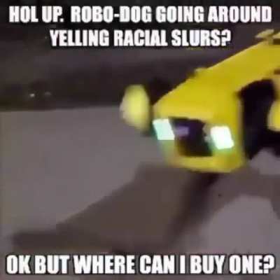 Robo Dog is based.
