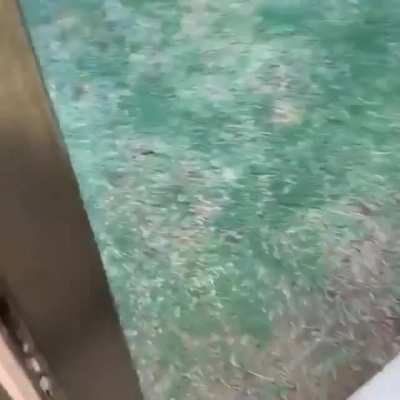 Teamwork mirror