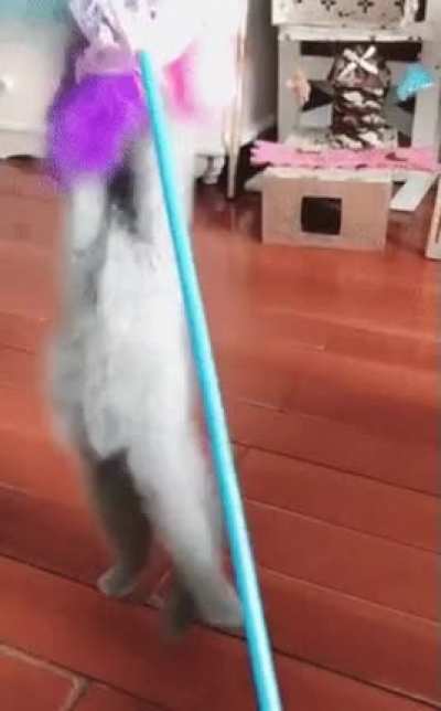 to catch it