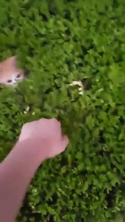 Do you like to play like that ?!?