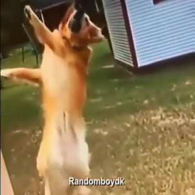 Kkk