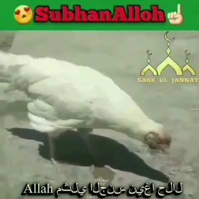 👳🏾&zwj;♂️🙏