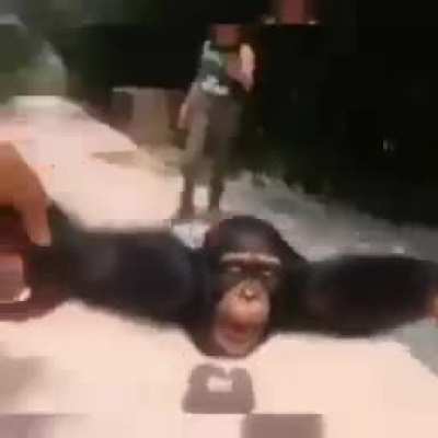 :D