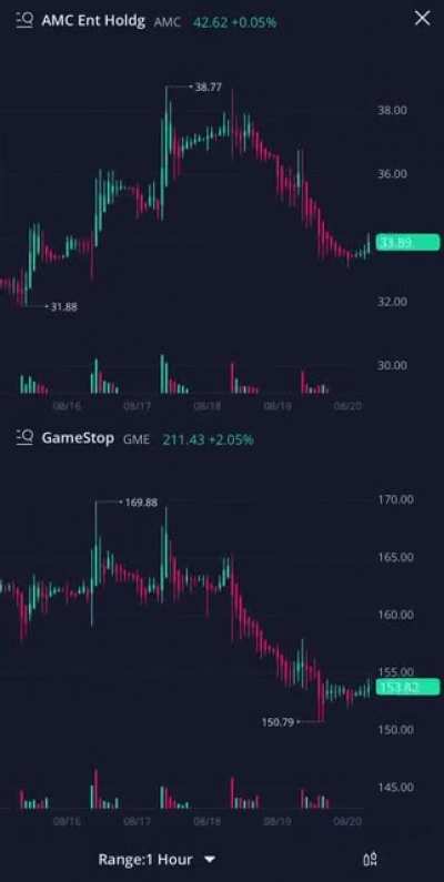 AMC and GME chart animation on the &ldquo;1hr chart.&rdquo; LITERALLY, the same movement. Absolute corruption.