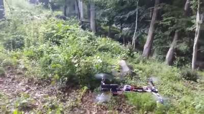 Just finished programming my drone to identify the IRS agents (anything that lives and moves) not letting any of them fucks close to my shack