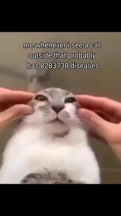 Literally me