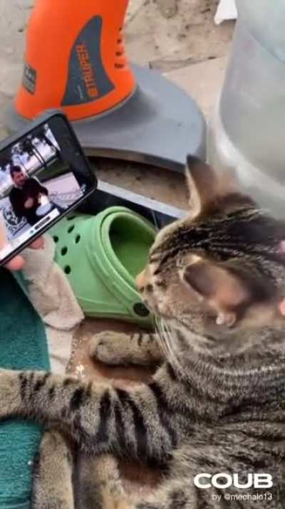 Потанцуем?