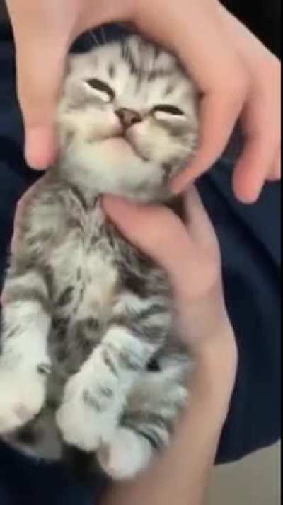 Electro-beans activate!
