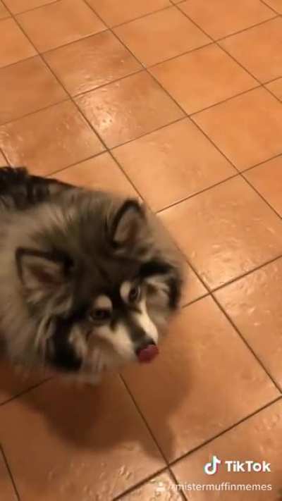 He&rsquo;s the best boi