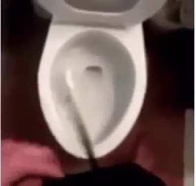 Pain