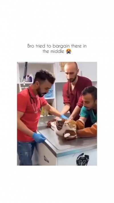 Meahhhhhhh