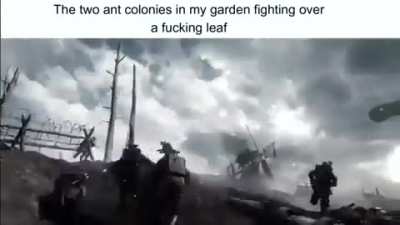 It was a bloodbath