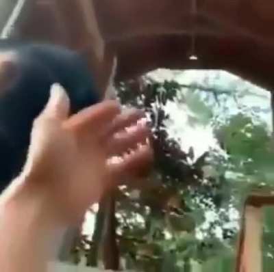 Monke