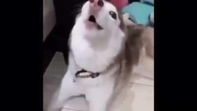 Grrrrrrrrrrraaaaaaaaaaaa