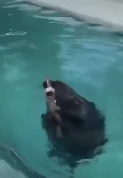 Sax seal