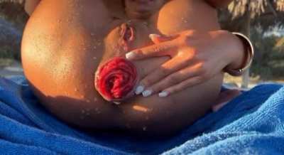 my perfect rose