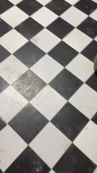 I just mopped last night. It rained&hellip;