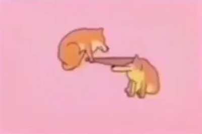 bonk!!!